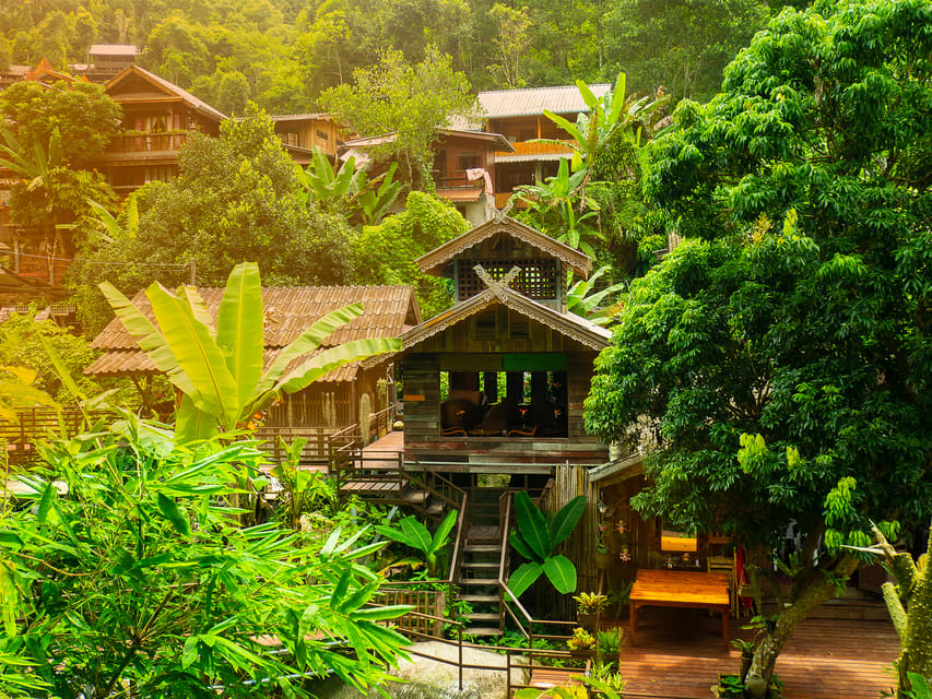 Chiang Mai: Gibbons, Trekking & Mae Kampong Small Group Tour - Finding the gibbons in the forest