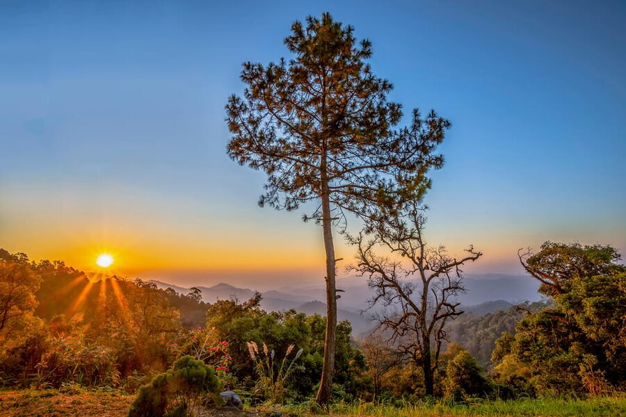Chiang Mai: Gibbons, Trekking & Mae Kampong Small Group Tour - Who should book this Mae Kampong experience?