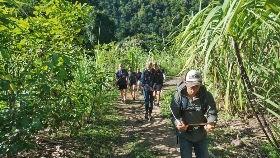 Chiang Mai: Guided Jungle and Waterfall Trek with Transfer - Is $64 a fair price?