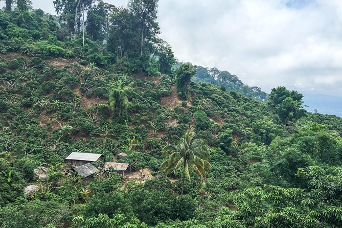 Chiang mai Hike & Downhill Bike Adventure –Suthep National Park - Guides, safety, and the small-group advantage