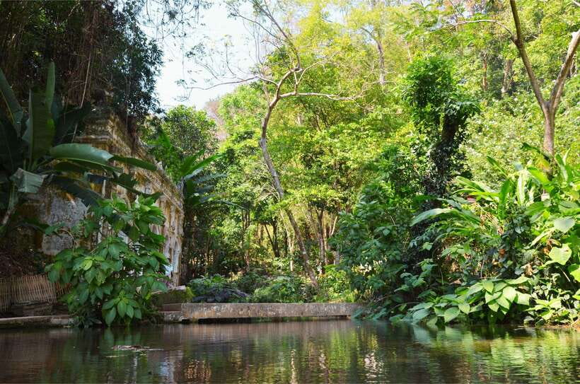 Chiang Mai: Hike on Monk’s Trail and Doi Suthep Private Tour - Guide quality and the private-group advantage