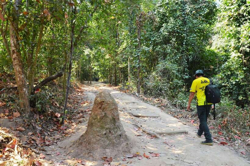 Chiang Mai: Hike on Monk’s Trail and Doi Suthep Private Tour - What the $57 price really buys