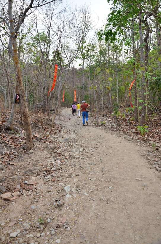 Chiang Mai: Hike on Monk’s Trail and Doi Suthep Private Tour - Who should book this tour