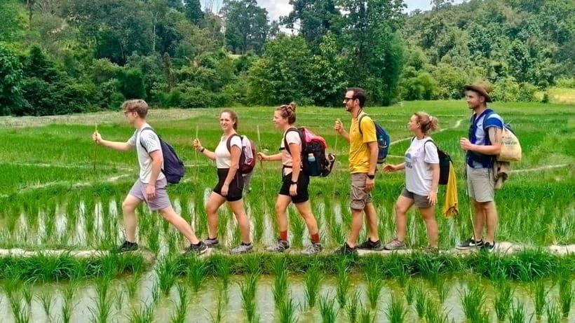 Chiang Mai: Jungle Trek, Elephants care & Bamboo Rafting - Key points to know before booking