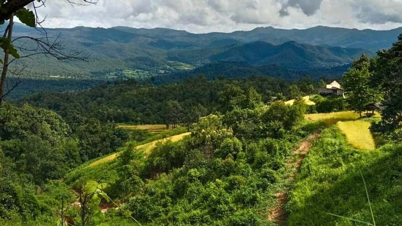 Chiang Mai: Jungle Trek, Elephants care & Bamboo Rafting - Timing, communication, and group comfort