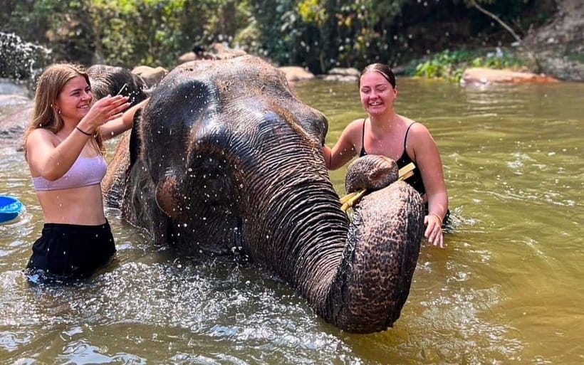 Chiang Mai: Jungle Trek, Elephants care & Bamboo Rafting - Buying fruit and lunch at the local market