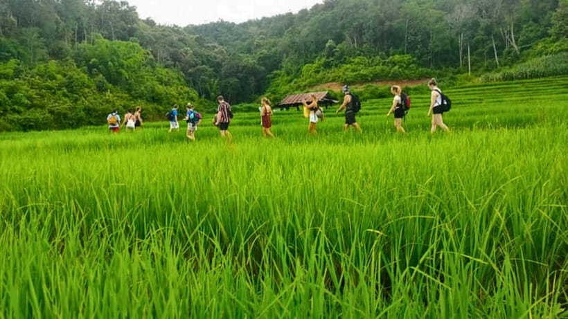 Chiang Mai: Jungle Trek, Elephants care & Bamboo Rafting - How demanding is the day?
