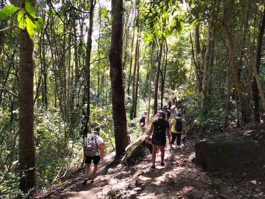 Chiang Mai: Mae Ya Waterfall & Pha Dok Siew Trail Trek - Five things worth knowing before you book