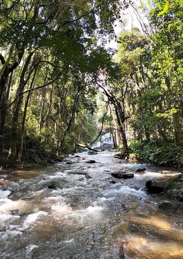 Chiang Mai: Mae Ya Waterfall & Pha Dok Siew Trail Trek - Ban Mae Klang Luang brings the day down to earth