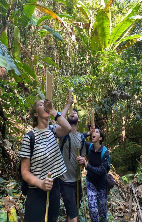 Chiang Rai: 1-Day Trekking and Longtail Boat Trip - The guides make the difference
