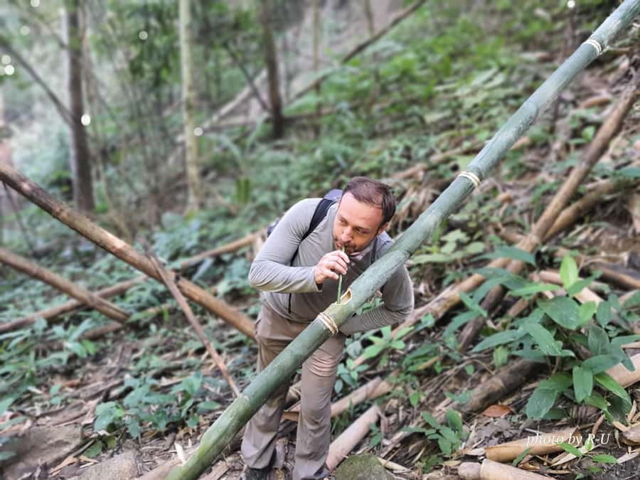 Chiang Rai: 2-Day Jungle Trek only walk with Waterfall - Day one: hot spring, jungle trail, and tea country