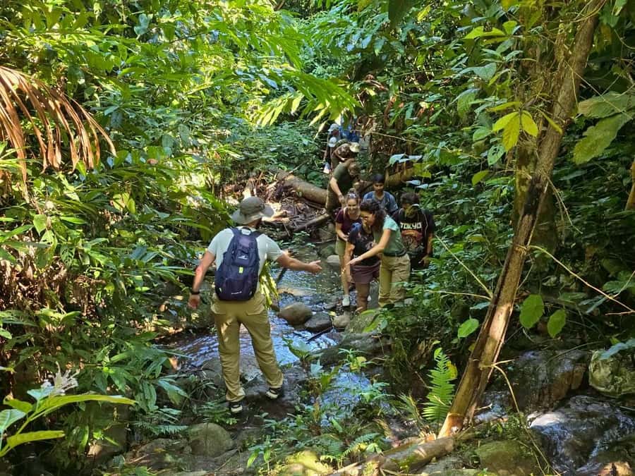 Chiang Rai: Jungle Adventure-Group Trekking & Bamboo Cooking - From Pa Soert Hot Spring into Chiang Rai’s hills