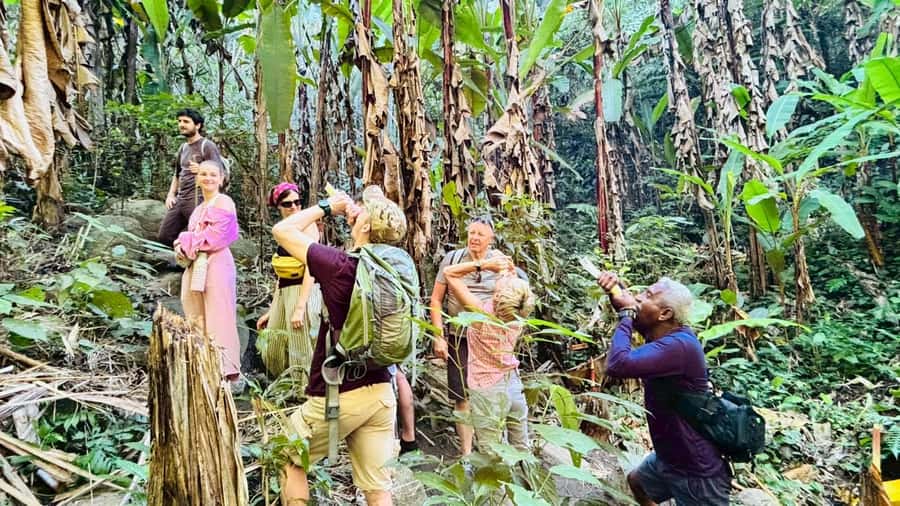 Chiang Rai: Jungle Adventure-Group Trekking & Bamboo Cooking - The waterfall is a cold but welcome reward