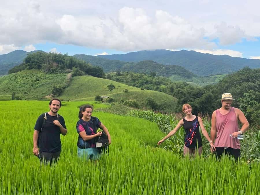 Chiang Rai: Jungle Adventure-Group Trekking & Bamboo Cooking - Finishing at the hot spring