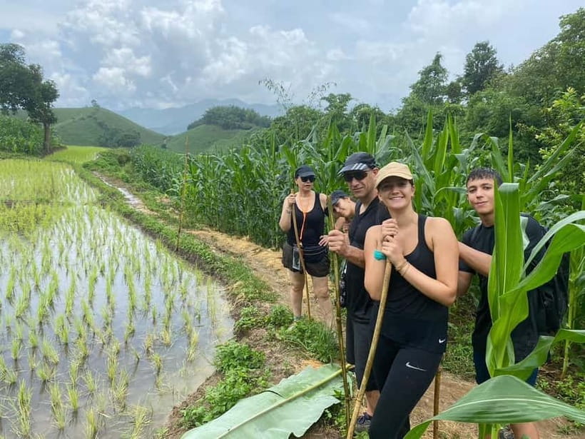 Chiang Rai Trek: 4 Hilltribes Villages & Waterfall Only Walk - Starting at Lam Nam Kok National Park