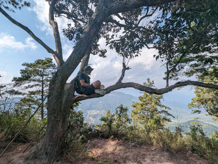 Chiangmai : Doi Pui Summit Hiking Experience - Key Points Before You Book