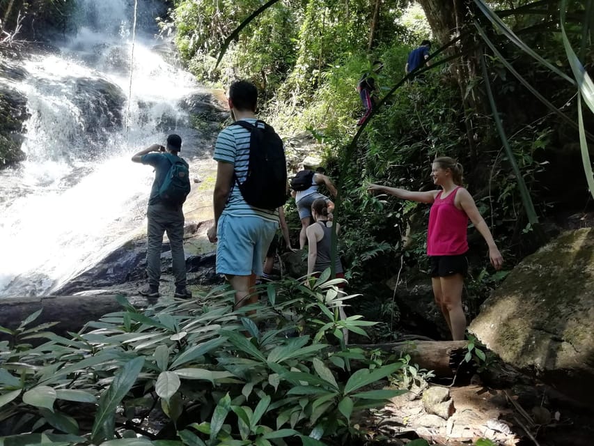 Chiangmai : Doi Pui Summit Hiking Experience - Is $70 a Fair Price?