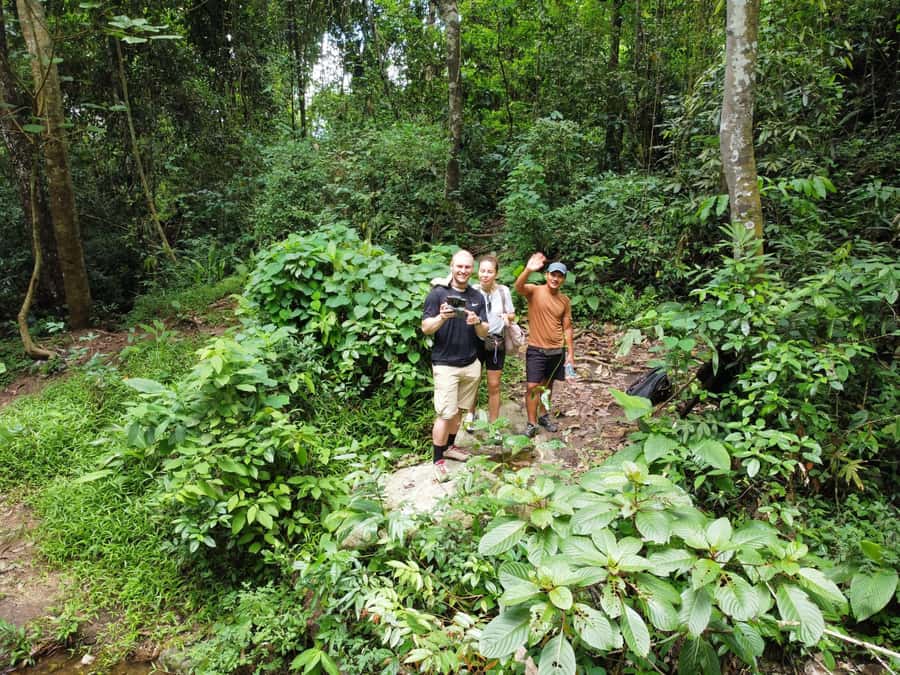 Chiangmai : Doi Pui Summit Hiking Experience - What the Guides Add