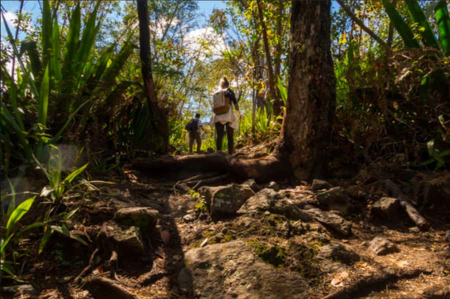 Cilaos: La Chapelle Hiking Experience - Crossing the Bras Rouge River