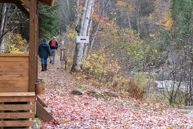 City tour and hiking to the Canyon and Waterfall in the Park - How difficult is the waterfall walk?