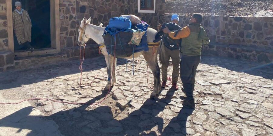 Climb Toubkal: 2-Day Atlas Trek with Local Berber Guide - Who should book this Mount Toubkal trek?