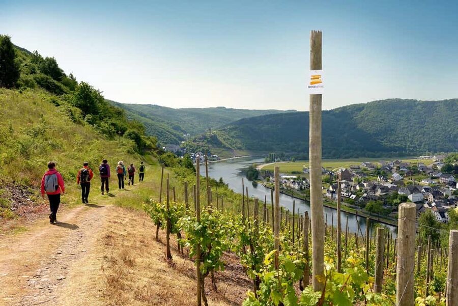 Cochem, Moselle: Wine experience hike with boat trip - Key points to know before booking