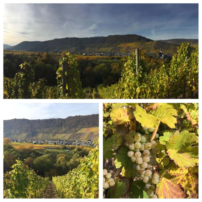 Cochem, Moselle: Wine experience hike with boat trip - What the $104 price includes
