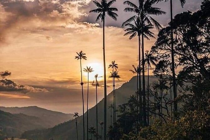Cocora Valley and Salento Hike Tour - Timing, weather, and what to pack