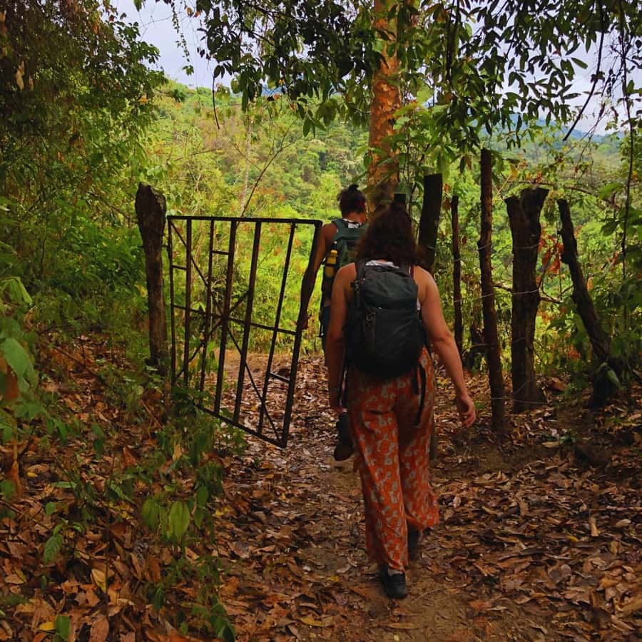 Coffee, Cocoa and Trekking Tour in Minca: Nature, Crops and Production - Key Details Before You Book