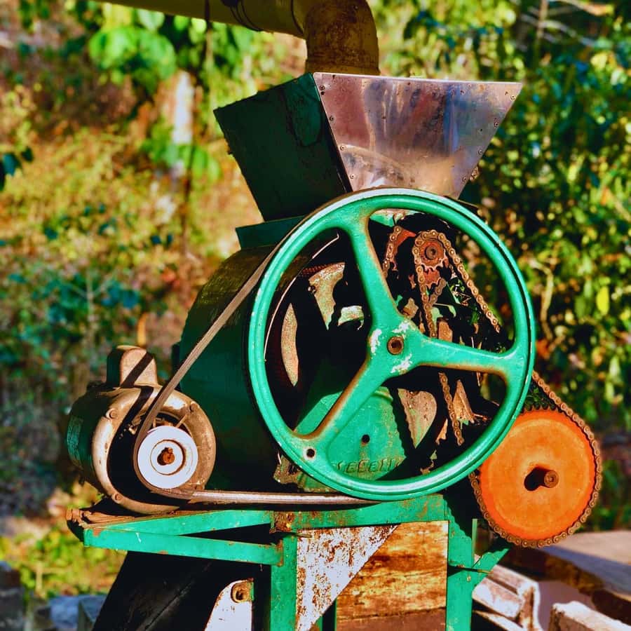 Coffee, Cocoa and Trekking Tour in Minca: Nature, Crops and Production - The Three-Hour Walk Through Minca