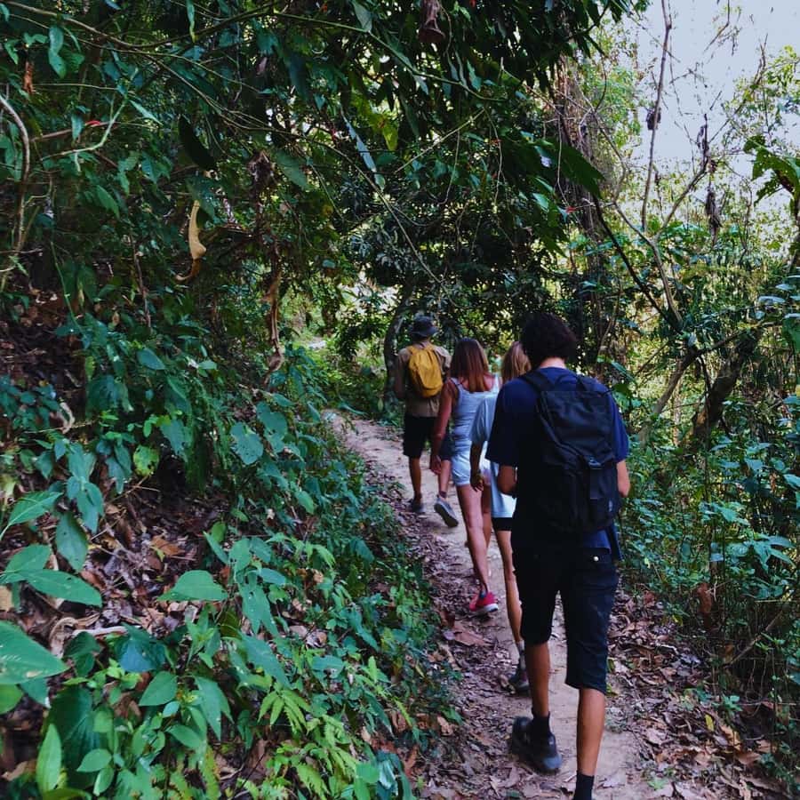 Coffee, Cocoa and Trekking Tour in Minca: Nature, Crops and Production - Guides, Language, and the Human Side