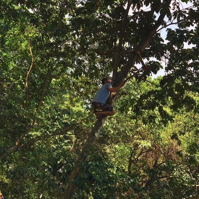 Coffee, Cocoa and Trekking Tour in Minca: Nature, Crops and Production - What to Wear and Carry