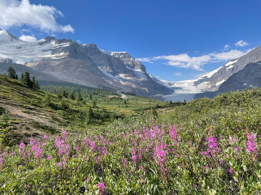 Columbia Icefield: Guided Glacier Hike - Getting equipped for ice, wind, and wet weather