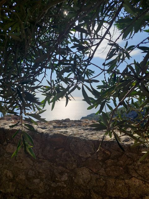 Corfu: Hiking in Olive Groves,Village,Sunset,with Swim Stop - Key points at a glance