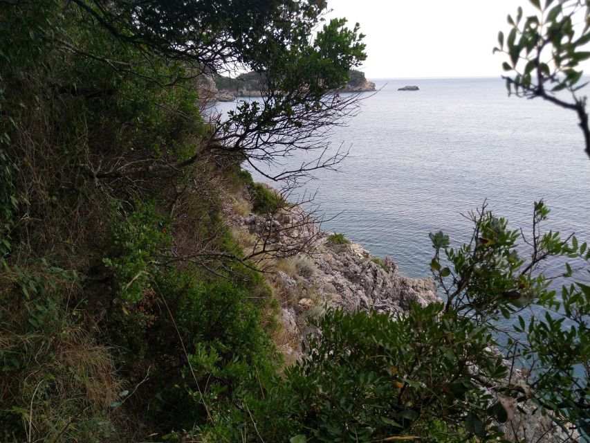 Corfu: Hiking in Olive Groves,Village,Sunset,with Swim Stop - Transfers, timing, and weather