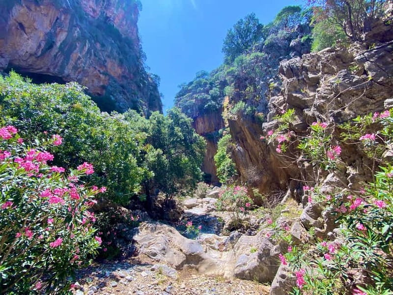 Crete: Kavousi Canyon Guided Hike & Beach Swim - The guide can shape the day