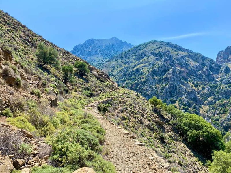 Crete: Kavousi Canyon Guided Hike & Beach Swim - Price, comfort, and what you receive