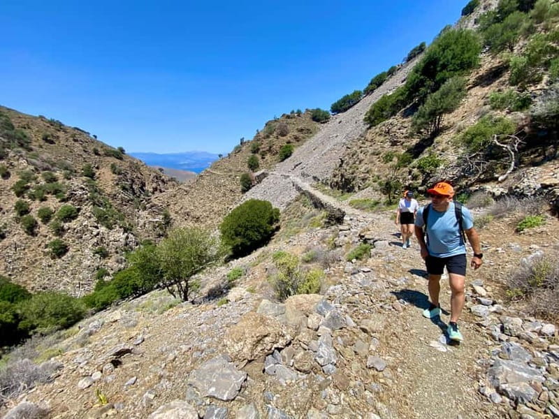 Crete: Kavousi Canyon Guided Hike & Beach Swim - Who should book this outing
