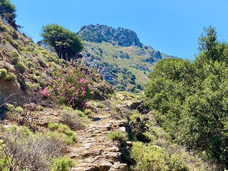 Crete: Kavousi Canyon Guided Hike & Beach Swim - The ride to Kavousi