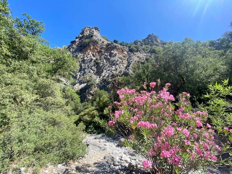 Crete: Kritsa Canyon Guided Hiking Tour - The day begins with a long but useful transfer