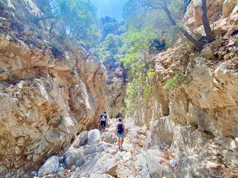 Crete: Kritsa Canyon Guided Hiking Tour - The route has some real physical demands