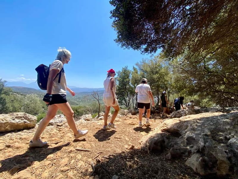 Crete: Kritsa Canyon Guided Hiking Tour - What the guide adds to the experience