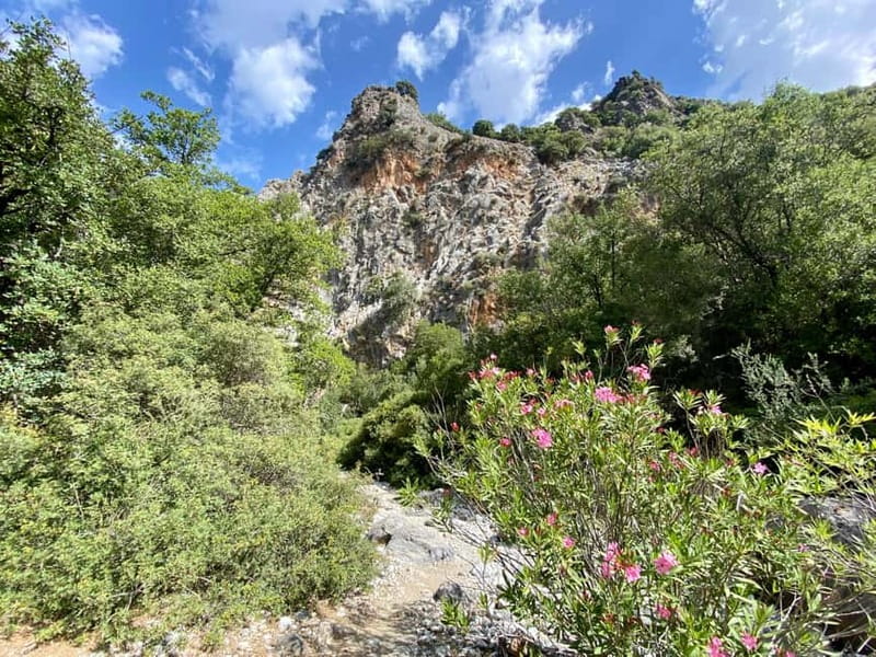 Crete: Kritsa Canyon Guided Hiking Tour - Is $93 a fair price?
