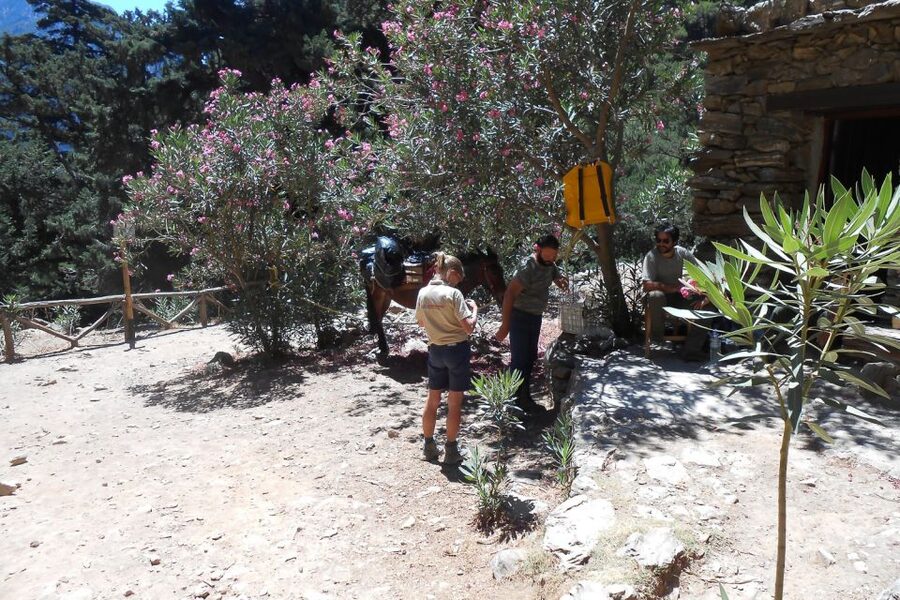 Crete: Samaria Gorge Hiking with transfer and expert Escort - Why the full-day schedule makes sense