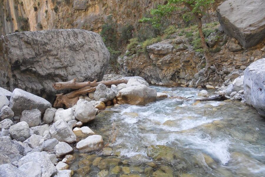 Crete: Samaria Gorge Hiking with transfer and expert Escort - What the $47 price really buys you