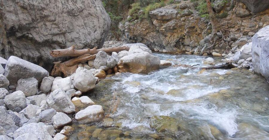 Crete: Samaria Gorge Hiking with transfer and expert Escort - Starting above the Samaria Gorge