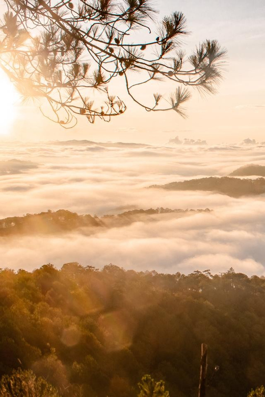 Da Lat: Chasing the Sunrise - A Mini Trek Adventure - Into the pine forest: short, steep, and rewarding