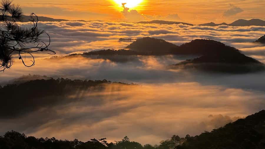 Dalat: Sunrise Trekking and Cloud Hunting experience - Is $36 a fair price?