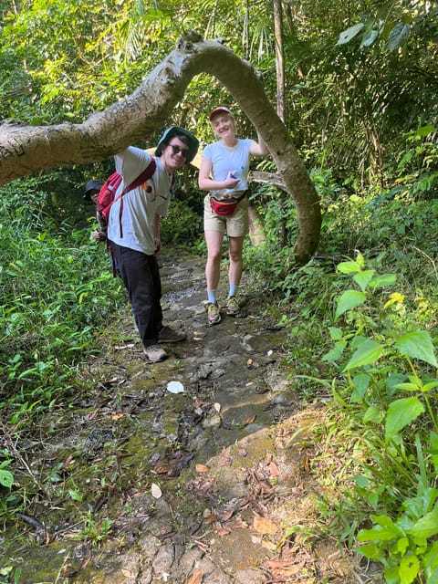 Dalat Trekking to Langbiang mt - Through pine forest and jungle