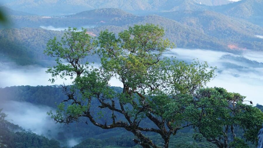 Dalat Trekking to Langbiang mt - The summit views over Dalat